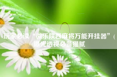 玩家必读“微乐陕西麻将万能开挂器”(曝光透视必备猫腻