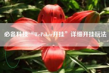 必备科技“WePoker开挂”详细开挂玩法