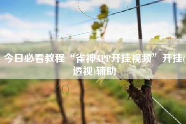 今日必看教程“雀神APP开挂视频”开挂(透视)辅助