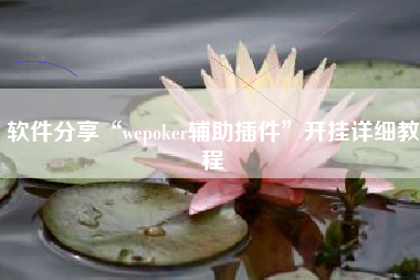 软件分享“wepoker辅助插件”开挂详细教程