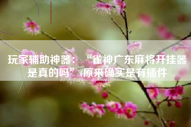 玩家辅助神器：“雀神广东麻将开挂器是真的吗”(原来确实是有插件