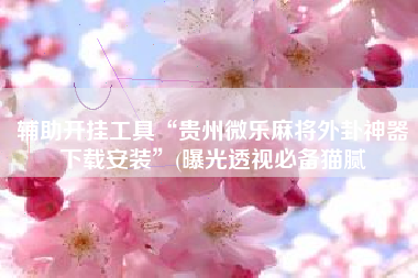 辅助开挂工具“贵州微乐麻将外卦神器下载安装”(曝光透视必备猫腻