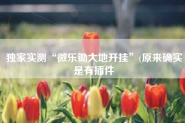 独家实测“微乐锄大地开挂”(原来确实是有插件