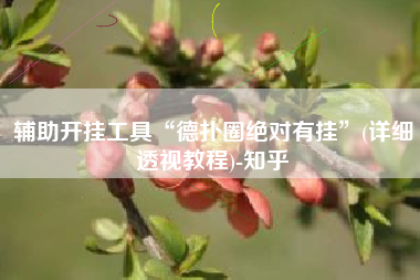 辅助开挂工具“德扑圈绝对有挂”(详细透视教程)-知乎
