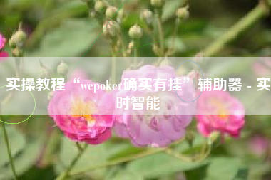 实操教程“wepoker确实有挂”辅助器 - 实时智能