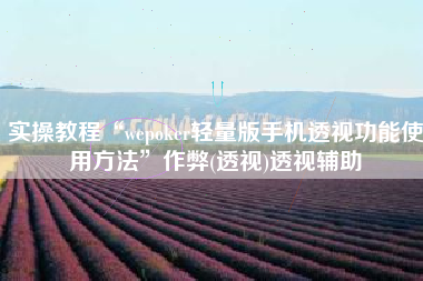 实操教程“wepoker轻量版手机透视功能使用方法”作弊(透视)透视辅助