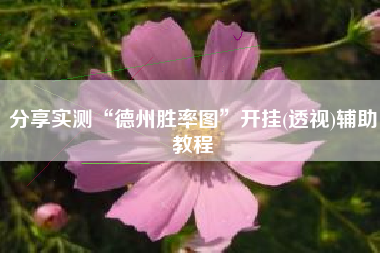 分享实测“德州胜率图”开挂(透视)辅助教程
