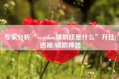 专家分析“wepoker辅助挂是什么”开挂(透视)辅助神器