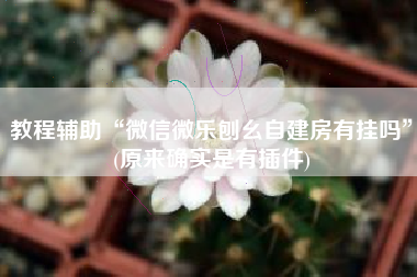 教程辅助“微信微乐刨幺自建房有挂吗”(原来确实是有插件)