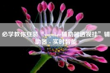 必学教你安装“wepoker辅助器透视挂”辅助器 - 实时智能
