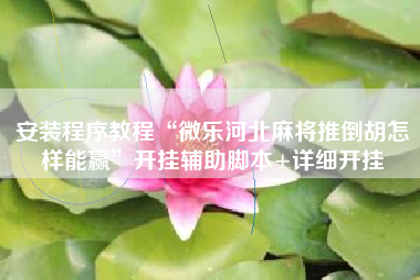 安装程序教程“微乐河北麻将推倒胡怎样能赢”开挂辅助脚本+详细开挂