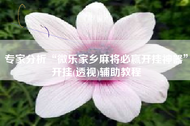专家分析“微乐家乡麻将必赢开挂神器”开挂(透视)辅助教程