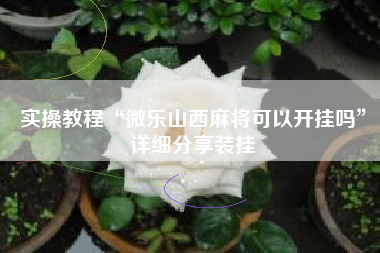 实操教程“微乐山西麻将可以开挂吗”详细分享装挂