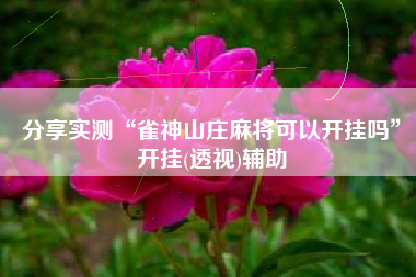 分享实测“雀神山庄麻将可以开挂吗”开挂(透视)辅助