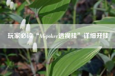 玩家必读“AGpoker透视挂”详细开挂