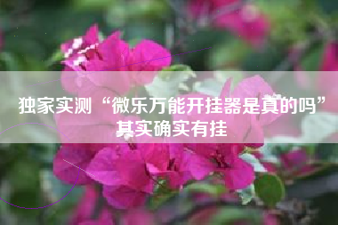 独家实测“微乐万能开挂器是真的吗”其实确实有挂