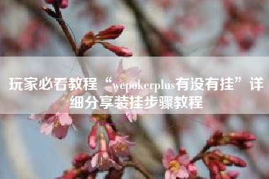 玩家必看教程“wepokerplus有没有挂”详细分享装挂步骤教程