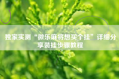 独家实测“微乐麻将想买个挂”详细分享装挂步骤教程