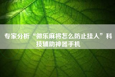 专家分析“微乐麻将怎么防止挂人”科技辅助神器手机