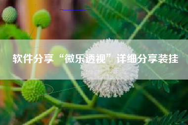 软件分享“微乐透视”详细分享装挂