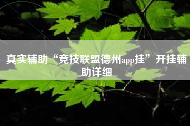 真实辅助“竞技联盟德州app挂”开挂辅助详细