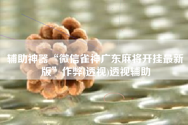 辅助神器“微信雀神广东麻将开挂最新版”作弊(透视)透视辅助