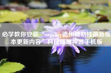 必学教你安装“wepoker德州辅助挂最新版本更新内容”科技辅助神器手机版