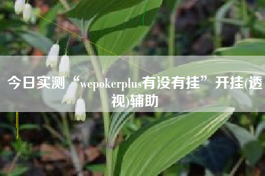 今日实测“wepokerplus有没有挂”开挂(透视)辅助