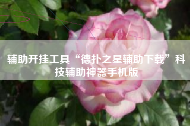 辅助开挂工具“德扑之星辅助下载”科技辅助神器手机版