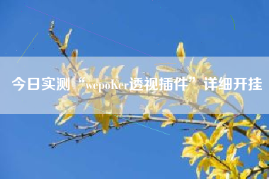 今日实测“wepoKer透视插件”详细开挂