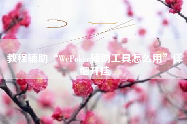 教程辅助“WePoker辅助工具怎么用”详细开挂