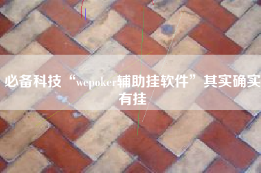 必备科技“wepoker辅助挂软件”其实确实有挂