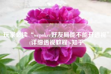 玩家必读“wepoker好友局能不能开透视”(详细透视教程)-知乎