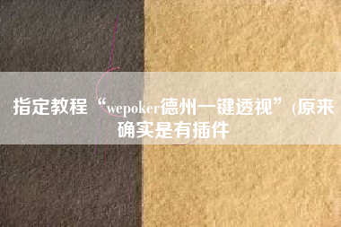指定教程“wepoker德州一键透视”(原来确实是有插件