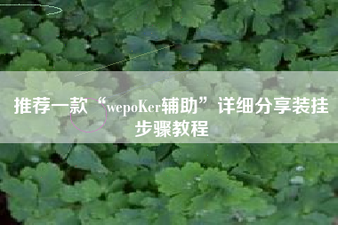 推荐一款“wepoKer辅助”详细分享装挂步骤教程