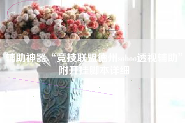 辅助神器“竞技联盟德州sohoo透视辅助”附开挂脚本详细