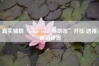 真实辅助“sohoo poker辅助器”开挂(透视)辅助神器