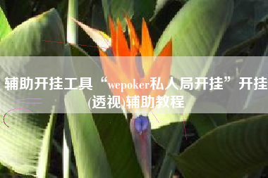 辅助开挂工具“wepoker私人局开挂”开挂(透视)辅助教程