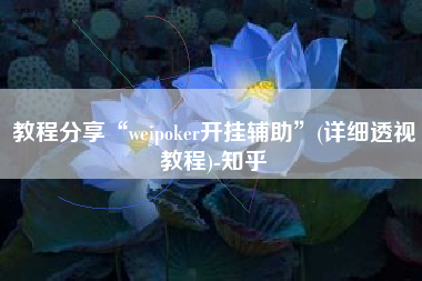 教程分享“weipoker开挂辅助”(详细透视教程)-知乎