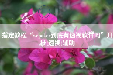 指定教程“wepoker到底有透视软件吗”开挂(透视)辅助