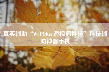 真实辅助“WePOKer透视插件挂”科技辅助神器手机