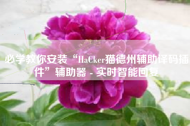 必学教你安装“HaCker猫德州辅助译码插件”辅助器 - 实时智能回复