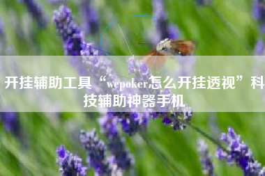 开挂辅助工具“wepoker怎么开挂透视”科技辅助神器手机