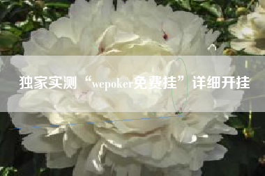 独家实测“wepoker免费挂”详细开挂