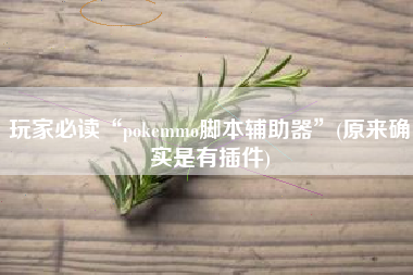 玩家必读“pokemmo脚本辅助器”(原来确实是有插件)