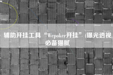 辅助开挂工具“Wepoker开挂”(曝光透视必备猫腻