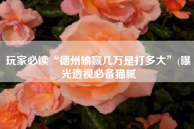 玩家必读“德州输赢几万是打多大”(曝光透视必备猫腻