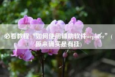 必看教程“如何使用辅助软件wepoker”(原来确实是有挂)