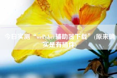 今日实测“wePoker辅助器下载”(原来确实是有插件)