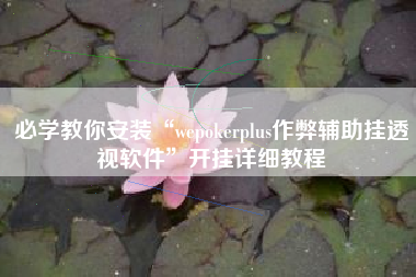 必学教你安装“wepokerplus作弊辅助挂透视软件”开挂详细教程